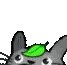 sneak