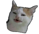 :catto: Discord Emote