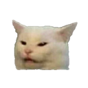 :shockedcatto: Discord Emote
