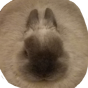 :wellingtonball: Discord Emote