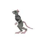 :hop: Discord Emote