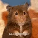 :gm: Discord Emote
