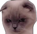 loeyaCmad loeyaCmad