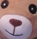 bearynice