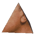 oBAMApRISM