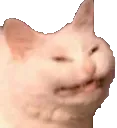 agrocat agrocat
