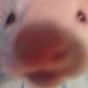 :piggy: Discord Emote