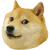 Doge