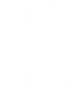 hologryph