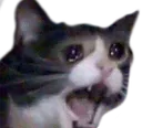 635533162939809830