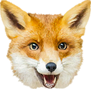 :RealFoxHours: Discord Emote