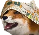FoxPeak