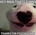 thatsfunny thatsfunny