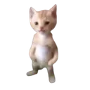 cat_strongcat