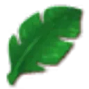 palmleaf