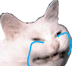 CatCry Discord sticker from ⸂𝕷⸃ LUST