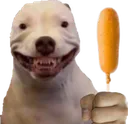 cornDOG
