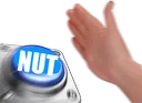 NUT NUT