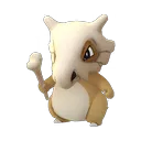 Cubone