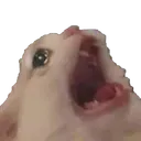 reCatRee Discord Emoji