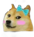 femme_doge