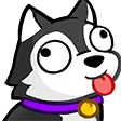 derp_pup derp_pup