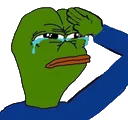 pp_Salute