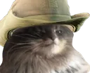 Cowboycat Cowboycat