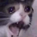 nOOOOOOO nOOOOOOO