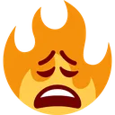 weary_fire