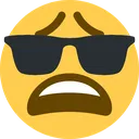 weary_sunglasses