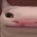 LongBoi LongBoi