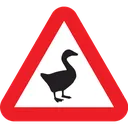 R_Goose