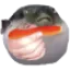 doyouwantacarrot
