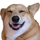 polite_laugh polite_laugh