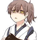 KagaDisgust