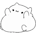 bongofatcat
