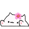 :Bongocatkawaii: Discord Emote