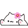 Bongocatkawaii