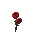 Poppy