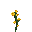 Dandelion Discord emoji