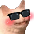 :kawaiicatto2: Discord Emote