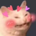 :kawaiicatto: Discord Emote