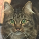 Catastrophe_bro Catastrophe_bro