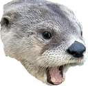 PogOtter