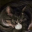 :NitroNibblet1: Discord Emote