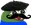 peepoFrench