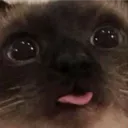 tongueC