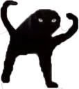 bullycat