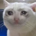 SadStare